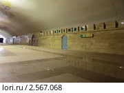 Казанский метрополитен. Станция "Кремлевская" (2011 год). Редакционное фото, фотограф Вадим Хомяков / Фотобанк Лори