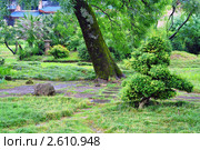 Сад русско-японской дружбы в Сочи (2011 год). Редакционное фото, фотограф Анна Мартынова / Фотобанк Лори