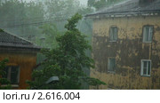 Ливень со шквальным ветром в городе (2011 год). Стоковое видео, видеограф Гурьянов Андрей / Фотобанк Лори