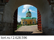 Зарайск. Кремль. Собор Иоанна Предтечи (2011 год). Редакционное фото, фотограф lana1501 / Фотобанк Лори