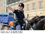 Шведская полиция (2011 год). Редакционное фото, фотограф Сергей Разживин / Фотобанк Лори