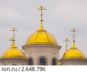 Купола Вознесенской Церкви в Звенигороде (2011 год). Стоковое фото, фотограф Михаил Феоктистов / Фотобанк Лори