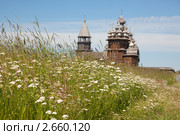 Остров Кижи. Луговое разнотравье (2011 год). Редакционное фото, фотограф Ольга Липунова / Фотобанк Лори