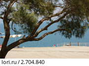 Пляж  Мёртвого моря (2010 год). Стоковое фото, фотограф Карнаух Светлана / Фотобанк Лори