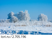 Зимний день. Стоковое фото, фотограф ElenArt / Фотобанк Лори