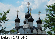 Зарайск. Кремль. Никольский храм (2011 год). Редакционное фото, фотограф lana1501 / Фотобанк Лори