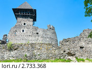Руины Невицкого замка (построен в 13 веке), Украина. Стоковое фото, фотограф Юрий Брыкайло / Фотобанк Лори