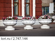 Цветочные клумбы. Стоковое фото, фотограф Павел Коновалов / Фотобанк Лори