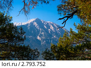 Гора Тахталы, Турция. Стоковое фото, фотограф Алексей Яговкин / Фотобанк Лори