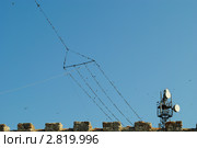 Мыс Калиакра. Птицы на проводах и антенна (2011 год). Стоковое фото, фотограф Татьяна Юни / Фотобанк Лори