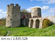 Крепость Копорье. Ленинградская область (2011 год). Стоковое фото, фотограф Александр Щепин / Фотобанк Лори