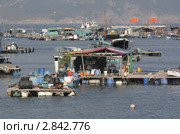 Плавучие дачи в заливе на острове Ламма. Гонконг (Lamma, Hongkong, China) (2010 год). Стоковое фото, фотограф Vladislav Osipov / Фотобанк Лори