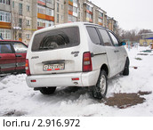 ВАЗ-2120М "Надежда" (2007 год). Редакционное фото, фотограф Art Konovalov / Фотобанк Лори