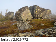 Большой расколовшийся камень на сопке. Сейд. Стоковое фото, фотограф Анатолий Гуреев / Фотобанк Лори