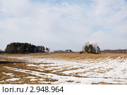 Пейзаж средней полосы России ранней весной. Стоковое фото, фотограф Солодовникова Елена / Фотобанк Лори