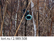 Наушники пилота висят на кустах (2011 год). Редакционное фото, фотограф Максим Голубев / Фотобанк Лори