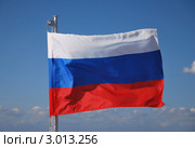 Развевающийся флаг России. Стоковое фото, фотограф Александр Михайлов / Фотобанк Лори
