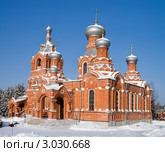 Красивая сельская церковь в солнечный зимний день (2009 год). Стоковое фото, фотограф Солодовникова Елена / Фотобанк Лори