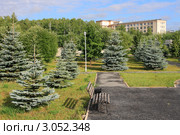 В прибольничном парке. Патрушево в Тюмени (2011 год). Стоковое фото, фотограф Анатолий Матвейчук / Фотобанк Лори