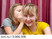 Девочка рассказывает свой секрет подружке на ухо прикрывшись рукой. Стоковое фото, фотограф Игорь Низов / Фотобанк Лори