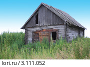 Заброшенный деревянный домик в деревне Залина (2011 год). Стоковое фото, фотограф Анатолий Матвейчук / Фотобанк Лори