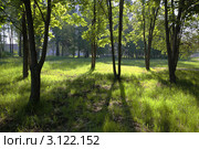 Парк утром. Стоковое фото, фотограф Юрий Васильев / Фотобанк Лори