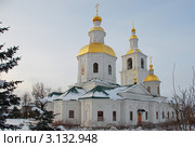 Свято-Троицкий Серафимо-Дивеевский монастырь в селе Дивеево Нижегородской области (2011 год). Стоковое фото, фотограф lana1501 / Фотобанк Лори