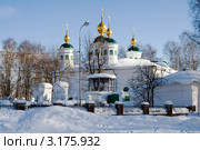 Воскресенский собор в городе Череповце (2010 год). Стоковое фото, фотограф Солодовникова Елена / Фотобанк Лори