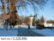 Ярославль. Церковь Похвалы Богоматери (2012 год). Стоковое фото, фотограф ElenArt / Фотобанк Лори