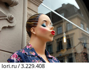 Забавный женский  манекен. Стоковое фото, фотограф Светлана Колобова / Фотобанк Лори