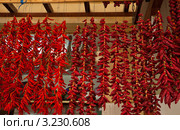Сушеные жгучие красные перчики (capsicum annum) Стоковое фото, фотограф Виктория Катьянова / Фотобанк Лори