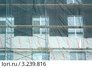 Леса на фасаде, прикрытые защитной сеткой (2012 год). Редакционное фото, фотограф Анатолий Матвейчук / Фотобанк Лори
