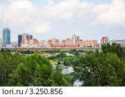 Панорамный летний вид на Новосибирск сквозь зеленые ветви (2011 год). Редакционное фото, фотограф Анна Мартынова / Фотобанк Лори