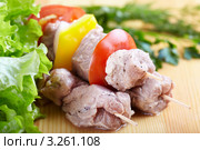 Маринованное мясо для приготовления шашлыка. Стоковое фото, фотограф Галина Михалишина / Фотобанк Лори