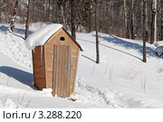 Деревенский туалет в лесу. Стоковое фото, фотограф Игорь Долгов / Фотобанк Лори