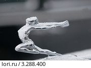 Эмблема на капоте автомобиля Buick 40 Special, 1935г (2012 год). Редакционное фото, фотограф Михаил Борсов / Фотобанк Лори