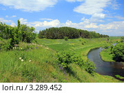 Долина реки Зуши. Новосильский район. Орловская область (2011 год). Стоковое фото, фотограф Александра Меланич / Фотобанк Лори