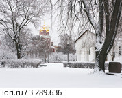 Снежной зимой в Новодевичьем монастыре (2012 год). Стоковое фото, фотограф Павел Широков / Фотобанк Лори