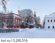Морозным днем в Новодевичьем монастыре (2011 год). Стоковое фото, фотограф Павел Широков / Фотобанк Лори