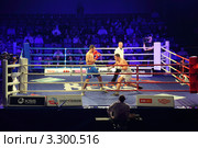 Боксёрский ринг, бой Ислам Исмаилов против Филиппа Хрговича, World Series of Boxing (WSB), январь 2011 года. Редакционное фото, фотограф Losevsky Pavel / Фотобанк Лори
