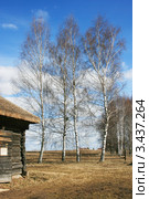 Весна, пейзаж, четыре берёзки, Беларусь (2012 год). Стоковое фото, фотограф Марина Шатерова / Фотобанк Лори