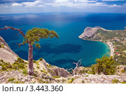 Красивый безлюдный пейзаж с морем (2009 год). Стоковое фото, фотограф Алексей Строганов / Фотобанк Лори