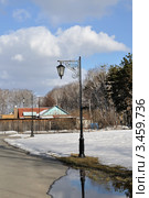 Заводоуковск. Уличный фонарь (2012 год). Стоковое фото, фотограф Александр Тараканов / Фотобанк Лори