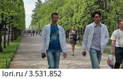 Посетители дворцового парка в городе Петергоф (2012 год). Редакционное видео, видеограф Кекяляйнен Андрей / Фотобанк Лори