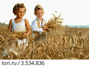 Дети в поле. Стоковое фото, фотограф Емельянова Карина / Фотобанк Лори