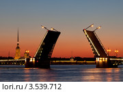 Символ Санкт-Петербурга разведённый Дворцовый мост (2012 год). Редакционное фото, фотограф Литвяк Игорь / Фотобанк Лори