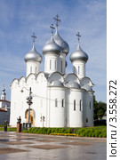 Софийский собор в Вологде (2008 год). Редакционное фото, фотограф Солодовникова Елена / Фотобанк Лори