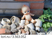 Пупсик на груде строительного мусора. Стоковое фото, фотограф Александр Щепин / Фотобанк Лори