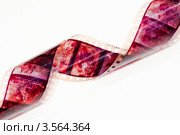 Диафильм (диапозитив) на белой поверхности (2012 год). Редакционное фото, фотограф WalDeMarus / Фотобанк Лори