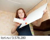 Девушка приклеивает потолочную плитку. Стоковое фото, фотограф Яков Филимонов / Фотобанк Лори